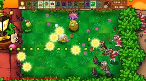 植物大战僵尸乱斗版 植物大战僵尸乱斗版