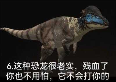 泰坦之路国际服 泰坦之路国际服