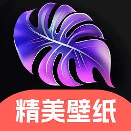 4K高清主题壁纸