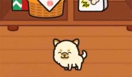 米加小镇2025最新版 米加小镇2025最新版