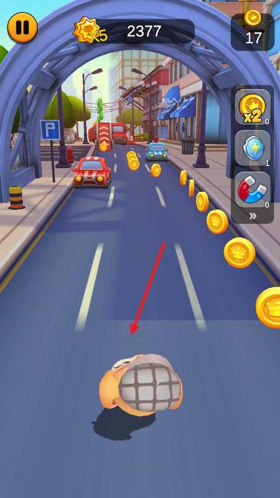 奔跑的宠物猫 奔跑的宠物猫