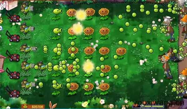 PVZ共生版 PVZ共生版