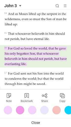 King James Bible截图
