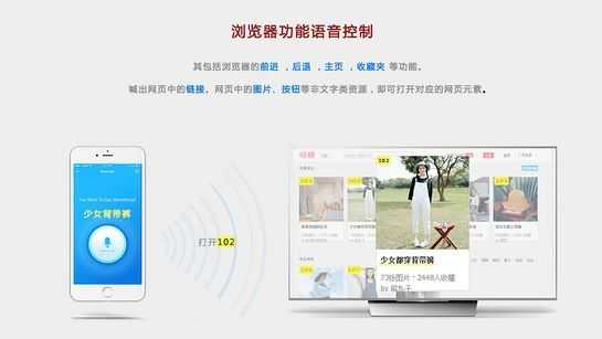 艾客思浏览器电视版截图