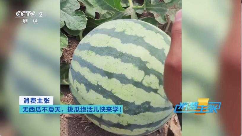 晶奥直播截图