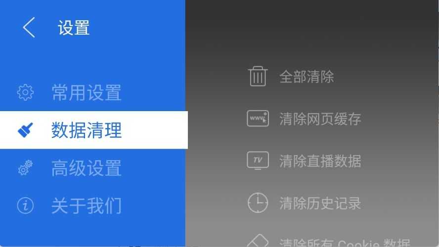 白夜浏览器电视版截图