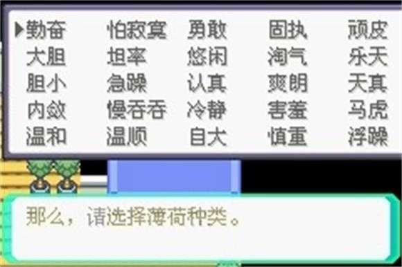 口袋妖怪究极绿宝石5截图