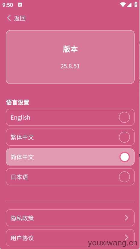邓紫棋应援棒截图