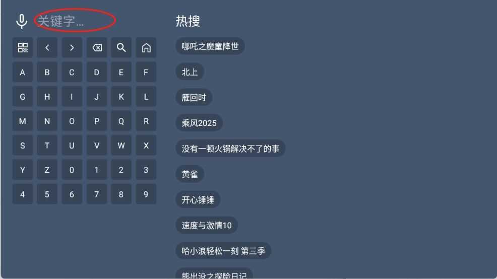 知云4K截图