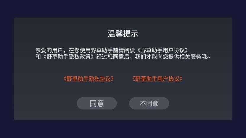 野草助手TV版截图