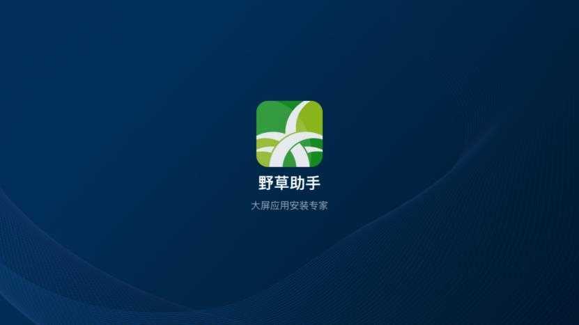 野草助手TV版截图