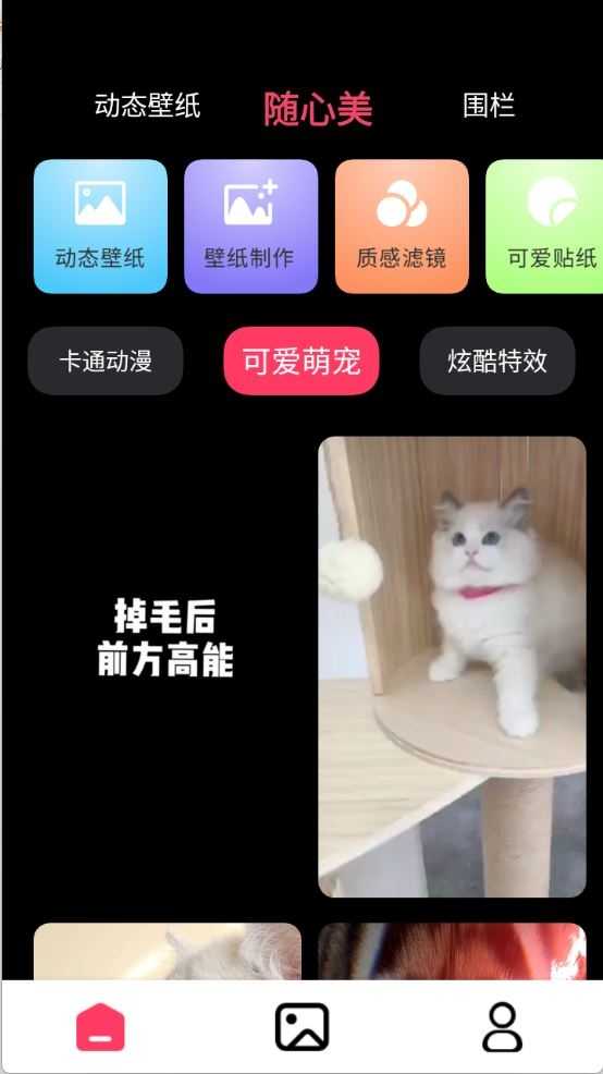 火花实况壁纸截图