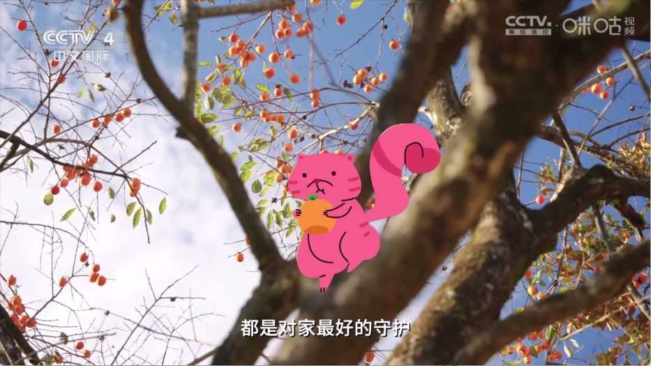 小岭电视截图