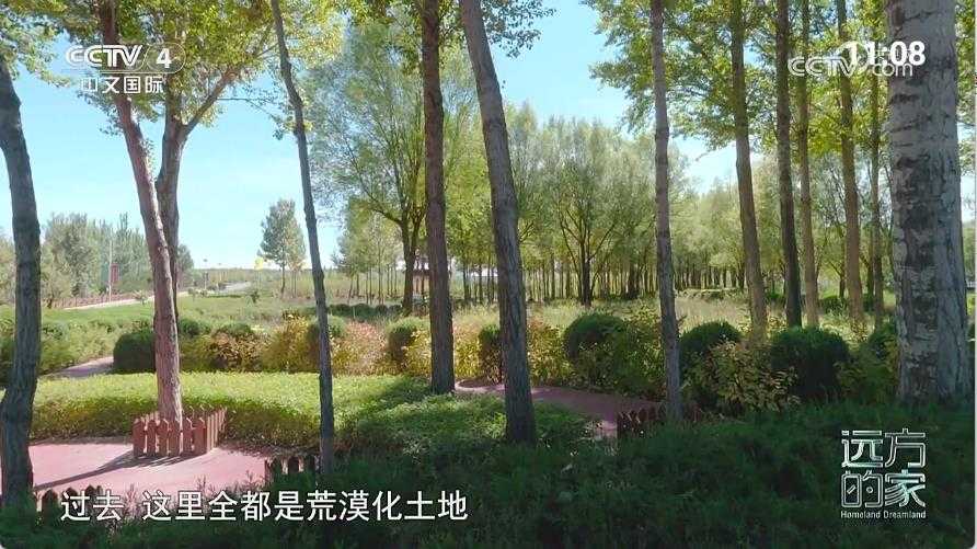 七星电视截图