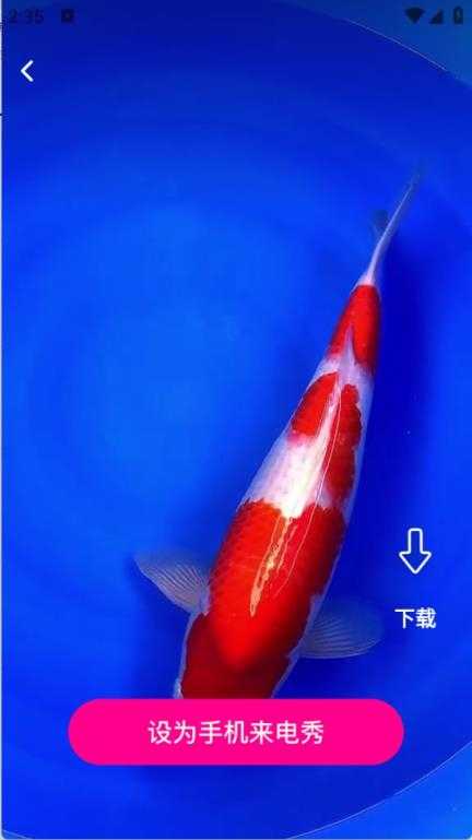 免费视频来电秀截图