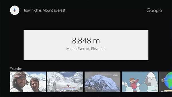 谷歌浏览器TV版截图