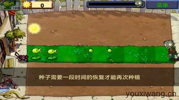 植物大战僵尸1经典版截图