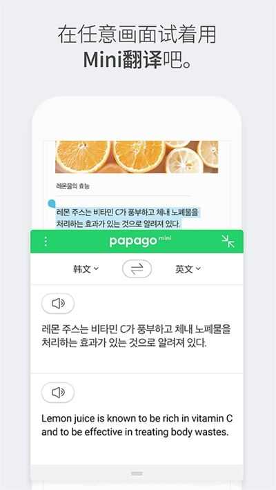 Papago中韩翻译器截图