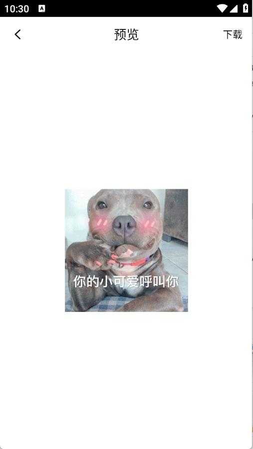 表情包合集截图