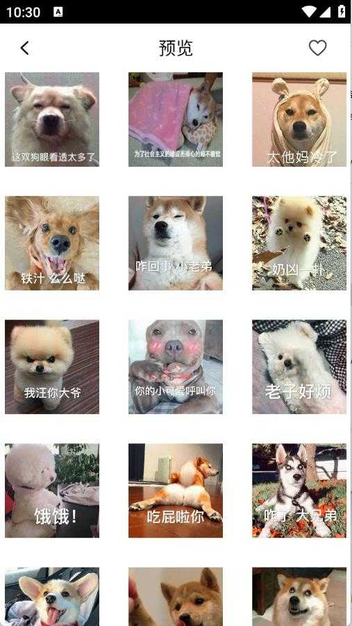 表情包合集截图