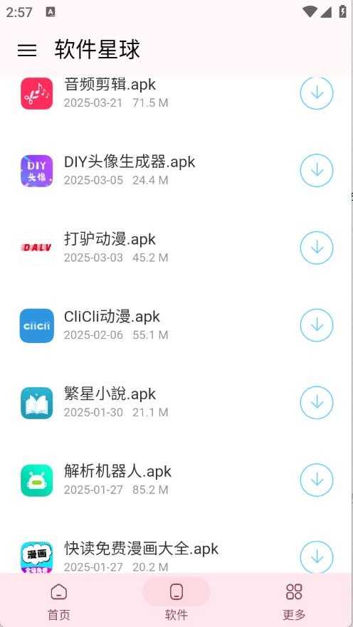 软件星球2025截图