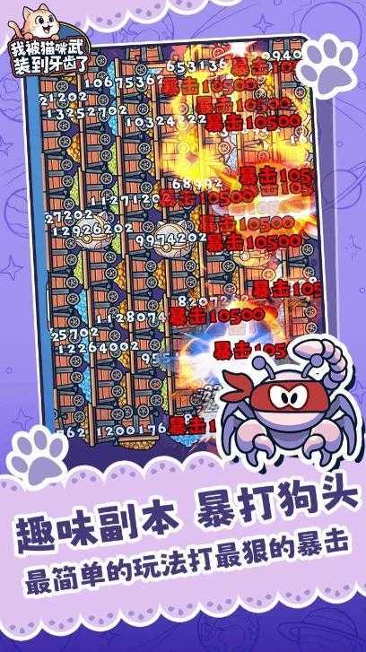 我被猫咪武装到牙齿了截图