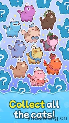 烘焙猫截图