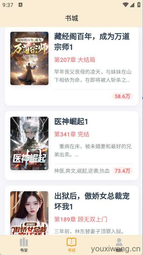 丏缘小说截图