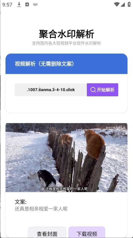 水印解析截图