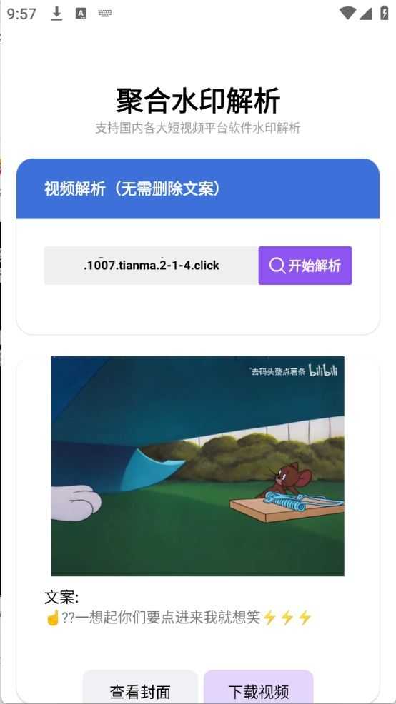 水印解析截图