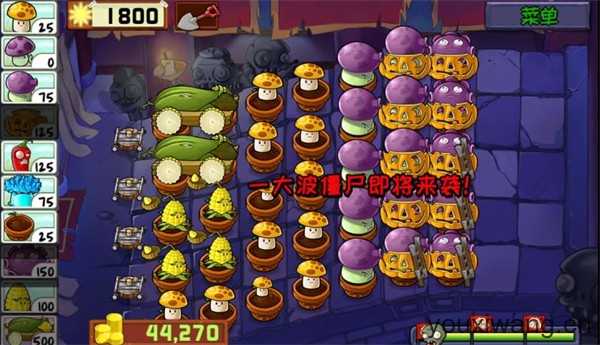 植物大战僵尸精华版最新版 植物大战僵尸精华版最新版