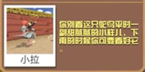 疯狂动物园 疯狂动物园