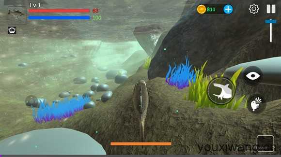 海底大猎杀 海底大猎杀