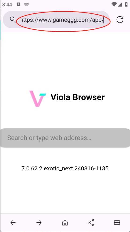 Viola Next Viola Next