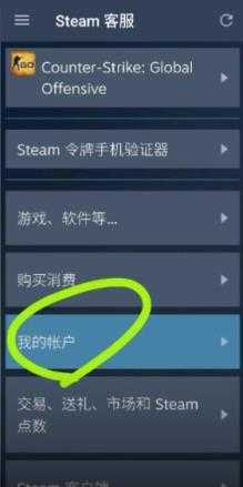 steam官方正版 steam官方正版