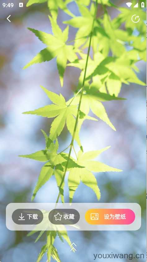 推搪壁纸 推搪壁纸