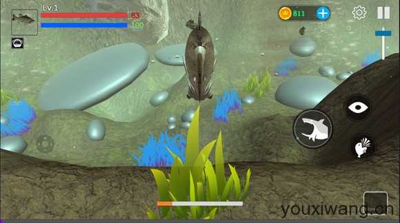 海底大猎杀 海底大猎杀