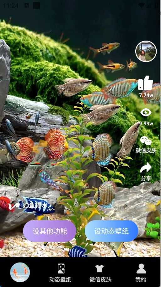 动态养鱼壁纸 动态养鱼壁纸