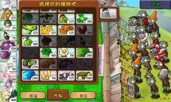 植物娘大战僵尸手机版 植物娘大战僵尸手机版