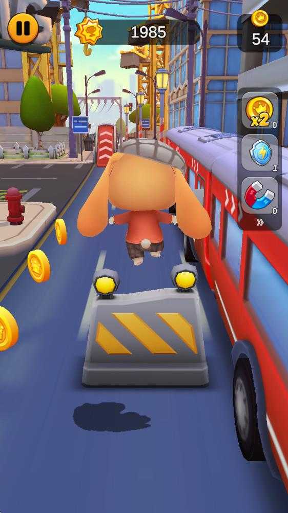 奔跑的宠物猫 奔跑的宠物猫