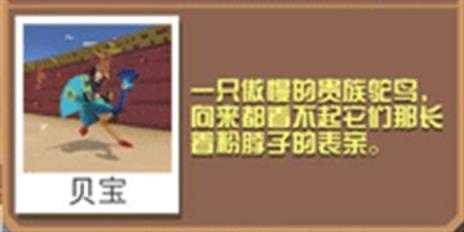 疯狂动物园 疯狂动物园