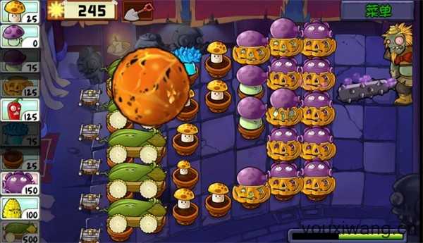 植物大战僵尸精华版最新版 植物大战僵尸精华版最新版