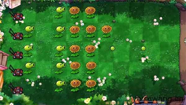 PVZ共生版 PVZ共生版