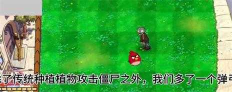 小鸟植物杂交版 小鸟植物杂交版