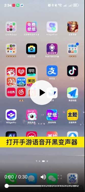 手游开黑变声器 手游开黑变声器
