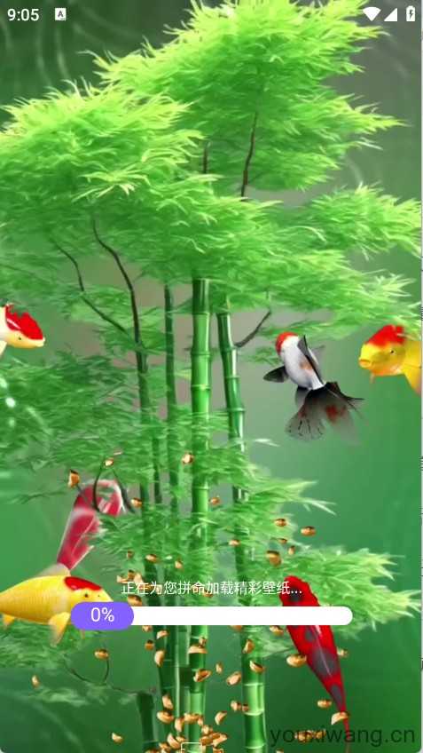 荷花锦鲤壁纸 荷花锦鲤壁纸