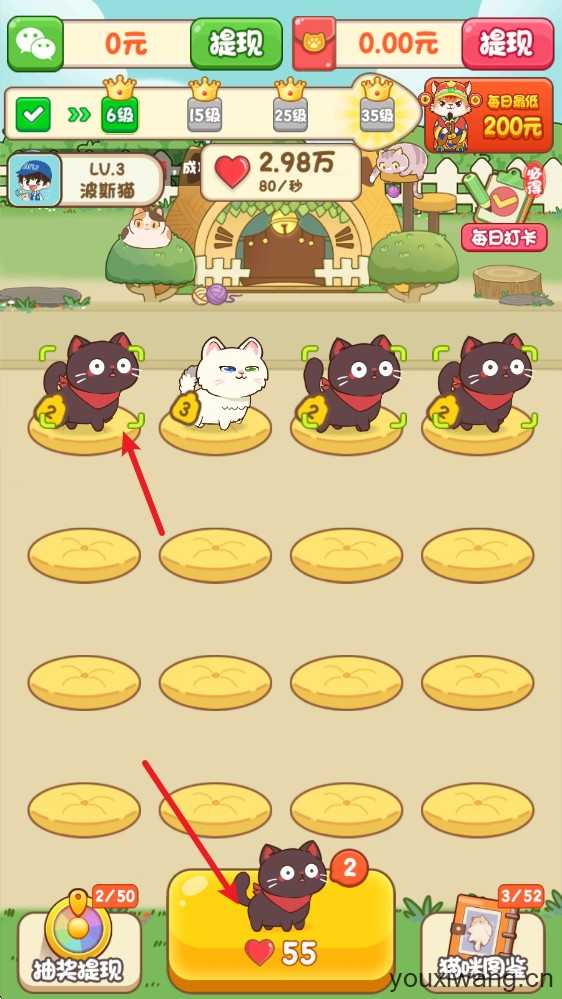 筑梦猫舍 筑梦猫舍