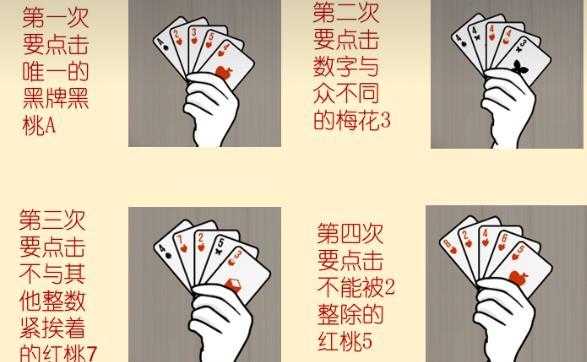 兔子先生的魔术秀 兔子先生的魔术秀