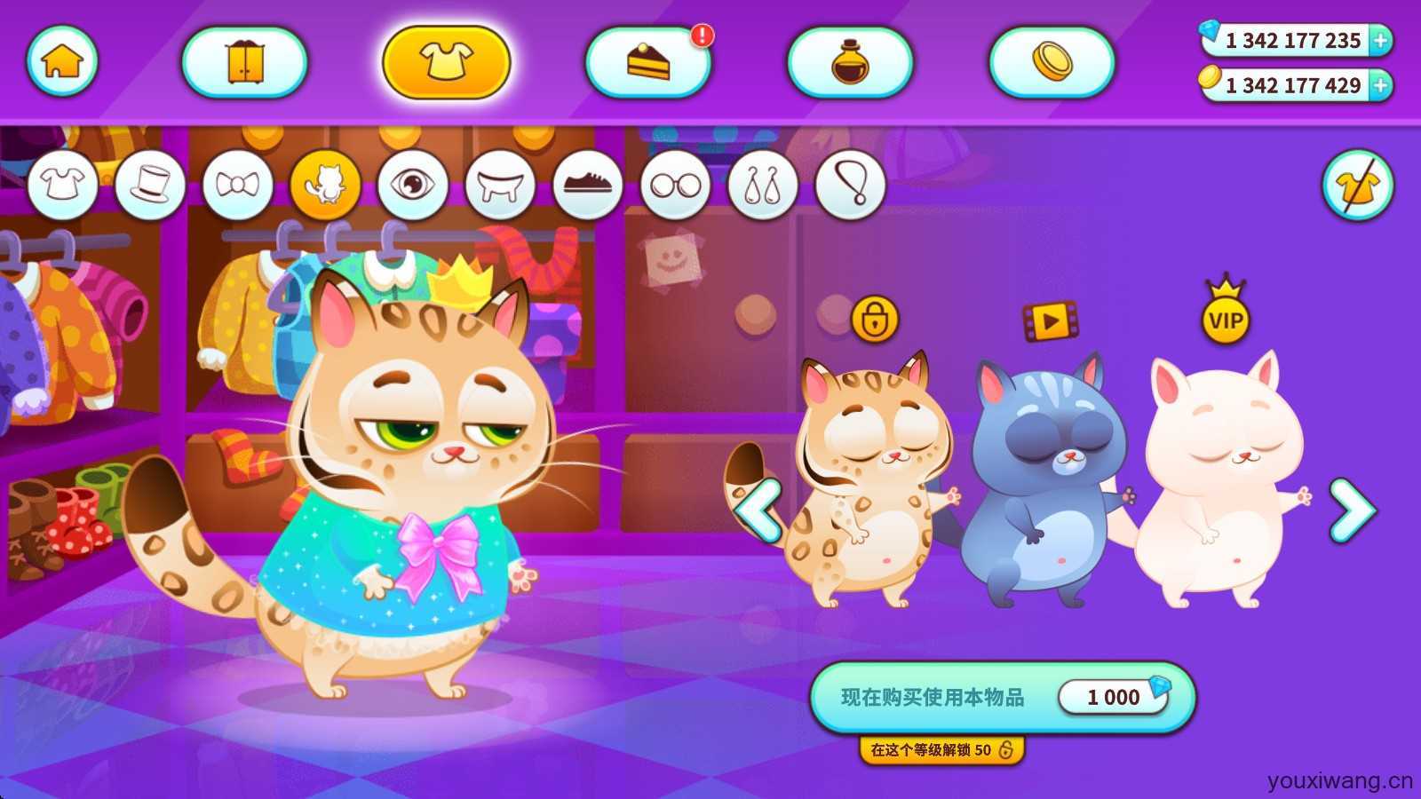 我的虚拟宠物猫 我的虚拟宠物猫