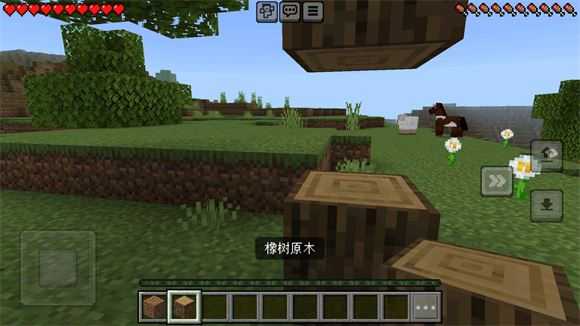 Minecraft国际版 Minecraft国际版